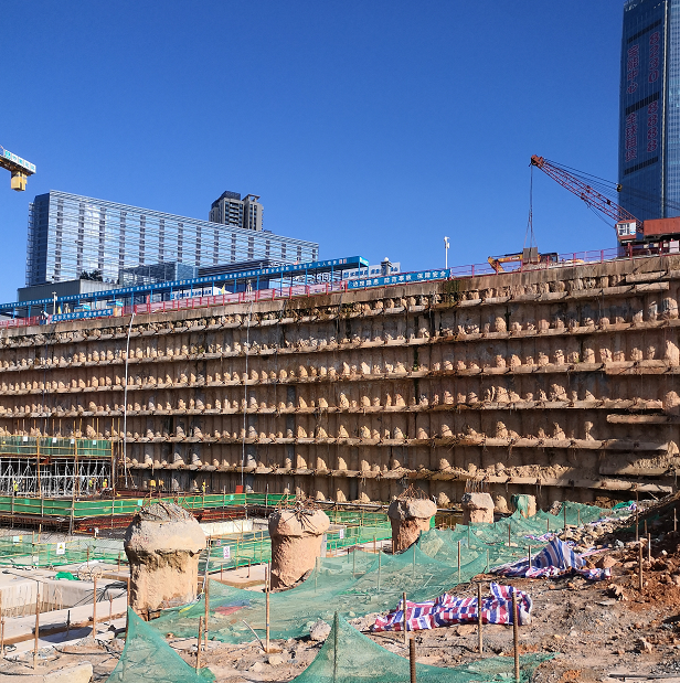 Shenzhen Plum Garden Project